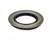 Oil seal 28x47x4,2/5,5 B1SF NBR [34004806]